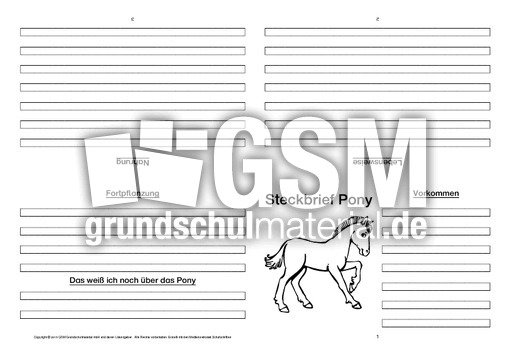 Pony-Faltbuch-vierseitig.pdf